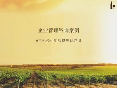 企业管理咨询案例PPT